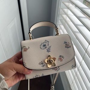 nice bag spring color is mini